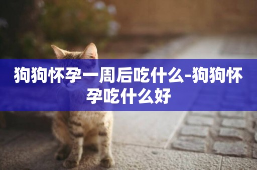 狗狗怀孕一周后吃什么-狗狗怀孕吃什么好